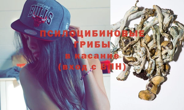 apvp Горнозаводск