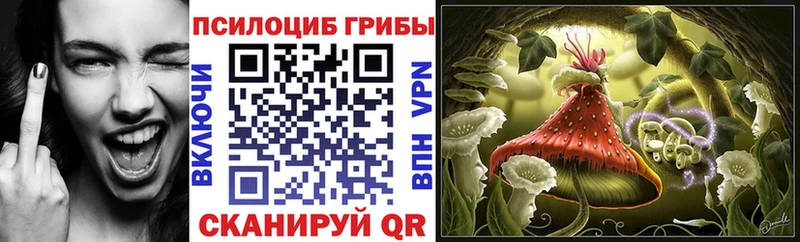 Псилоцибиновые грибы Psilocybine cubensis  Дудинка 